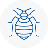 Bed Bug Extermination In Bedworth