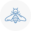 Bee Nest Removal Bedworth