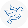 Bird Prevention Bedworth