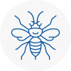 Bedworth Hornet Nest Removals