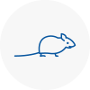 Mice Exterminators In Bedworth