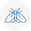 Moth Control Specialists In Bedworth
