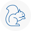Bedworth Rodent Removals